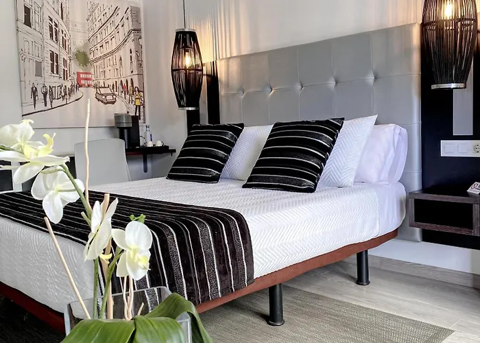 Отель Hotel Noia 3*